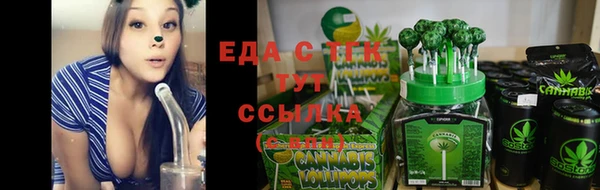 гидра Зеленокумск