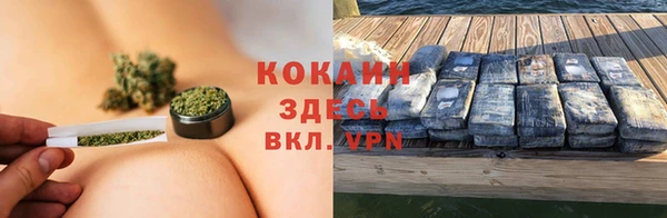 гидра Зеленокумск